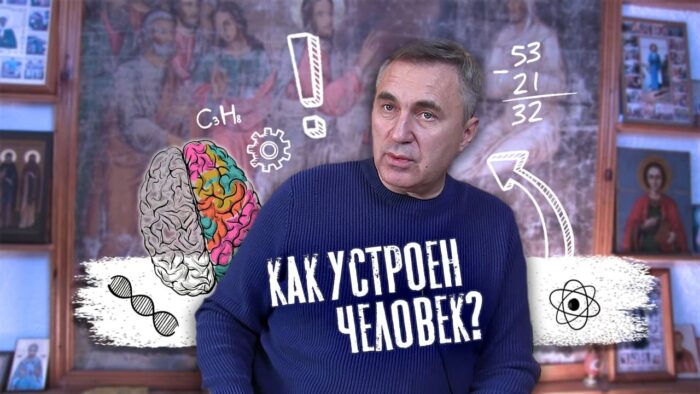 Как устроен человек
