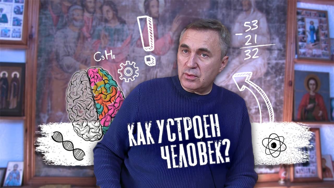 Как устроен человек
