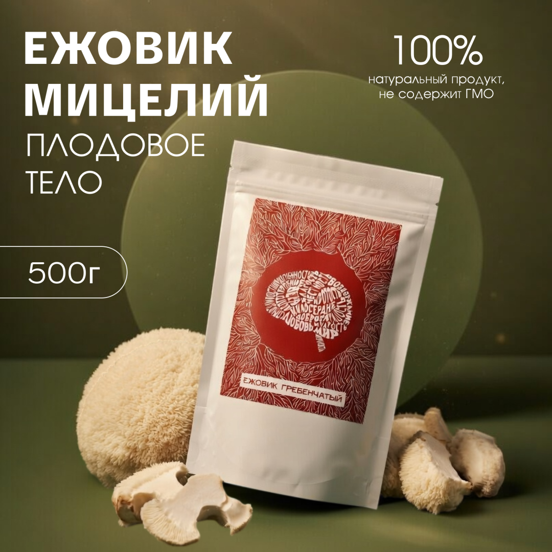 Ежовик Гребенчатый, мицелий и плодовое тело в порошке, 500 грамм