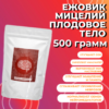 Ежовик Гребенчатый, мицелий в порошке, 500 грамм