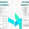 Ежовик Гребенчатый, мицелий в порошке, 500 грамм — изображение 2