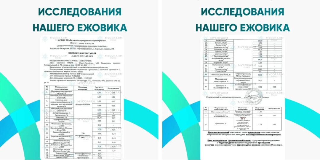 Премиальный Эринациновый экстракт ежовика — изображение 2